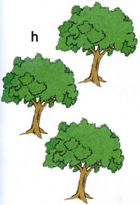 Задание рисунок 8