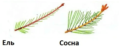 Решение рисунок 1