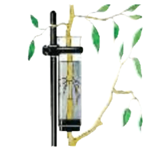 Задание рисунок 1