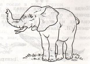 Задание рисунок 1