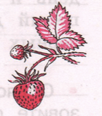 Задание рисунок 1