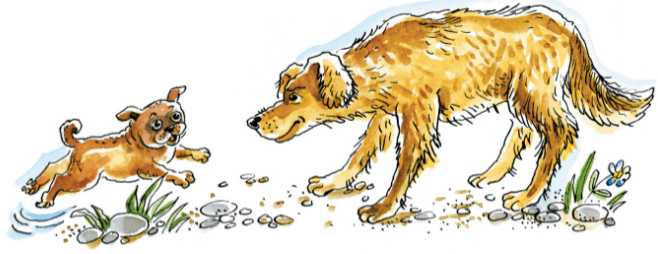 Задание рисунок 1