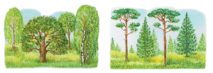 Задание рисунок 1