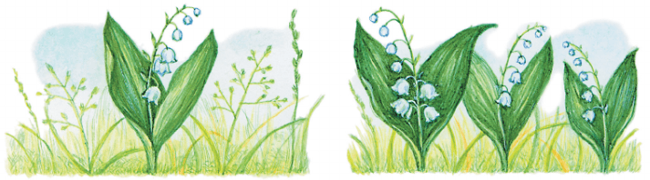 Задание рисунок 1