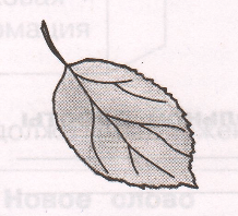 Задание рисунок 1