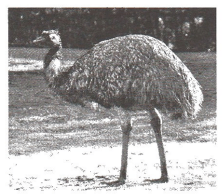 Задание рисунок 4