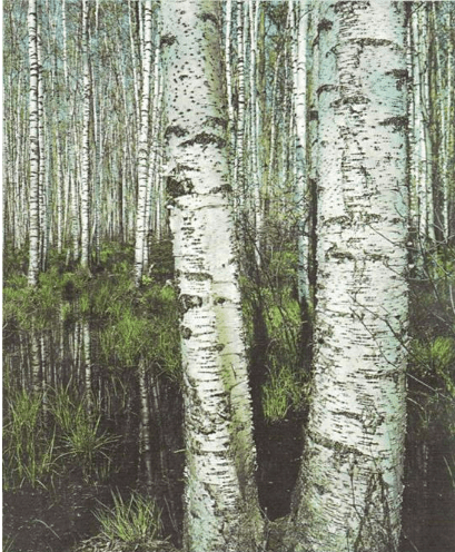 Задание рисунок 1